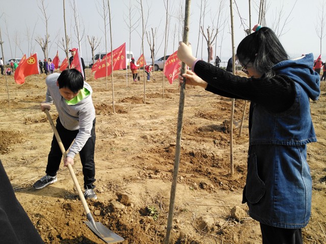 臨沂新華參加義務(wù)植樹活動 第 6 張