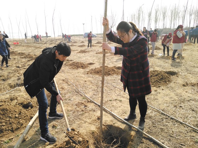 臨沂新華參加義務(wù)植樹活動 第 7 張